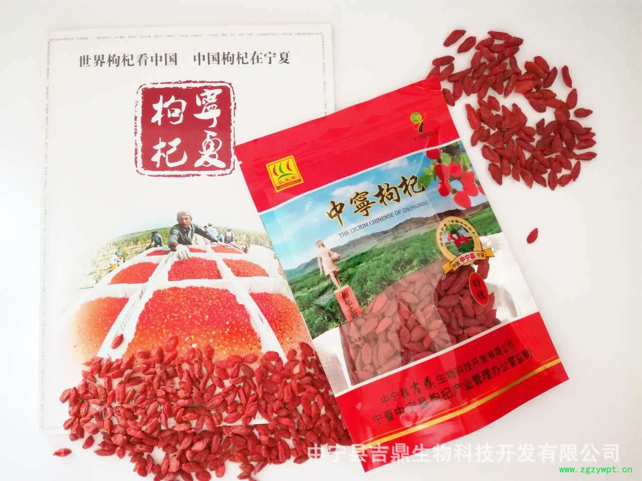 微信图片_20170706162608