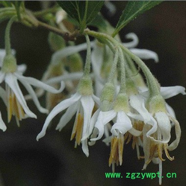 QQ图片20150527105450