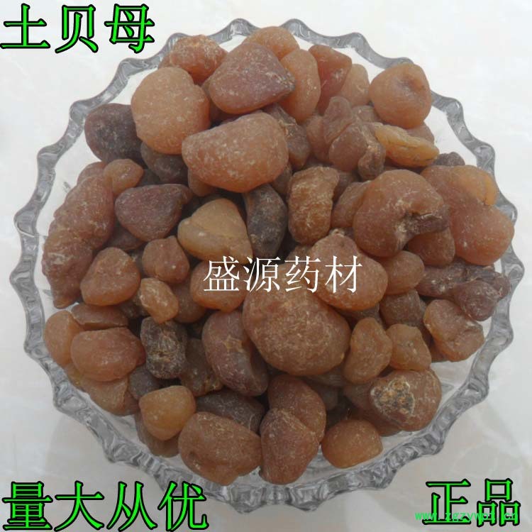 土贝母