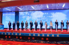 中小企业商机博览、中医药博览会在广西玉林开幕