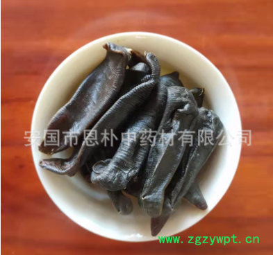 中药材安国干水蛭500克生宽体水蛭粉 金边蚂蝗金线蛭另有炮制水蛭