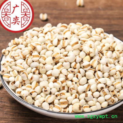 中药材批发 产地批发 现货批发五谷杂粮薏仁米 薏苡仁 薏米仁