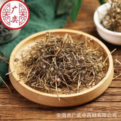 广奕中药材批发白花蛇草 白花蛇舌草 蛇草 新货 量大从优