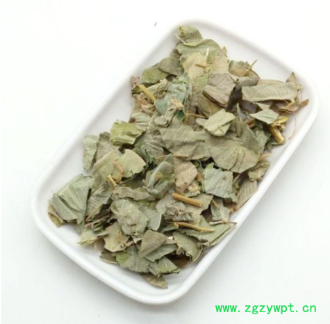 供应中药材大叶 金钱草 广西大叶金钱草
