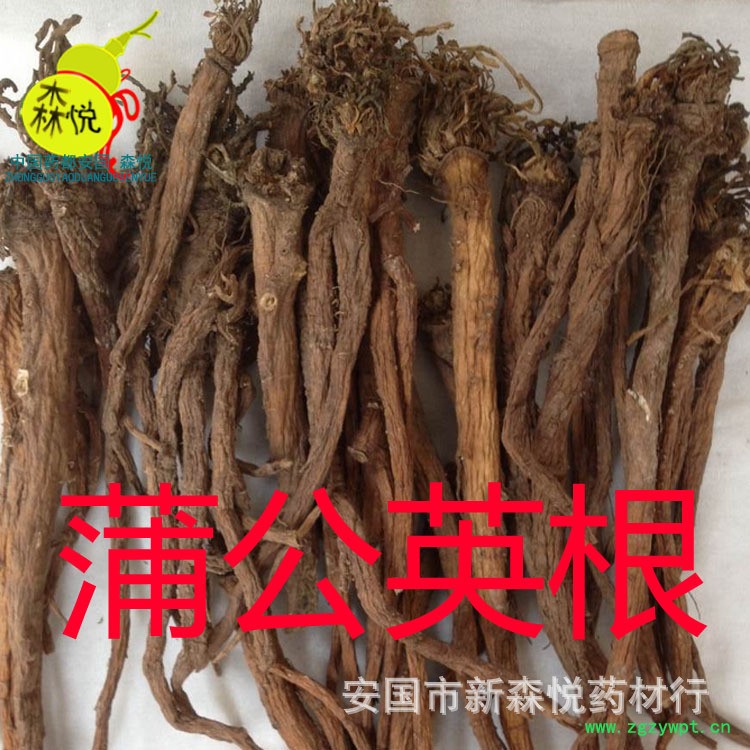 QQ图片20160116090706副本