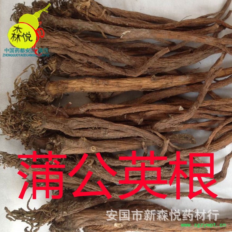 QQ图片20160116090706副本3