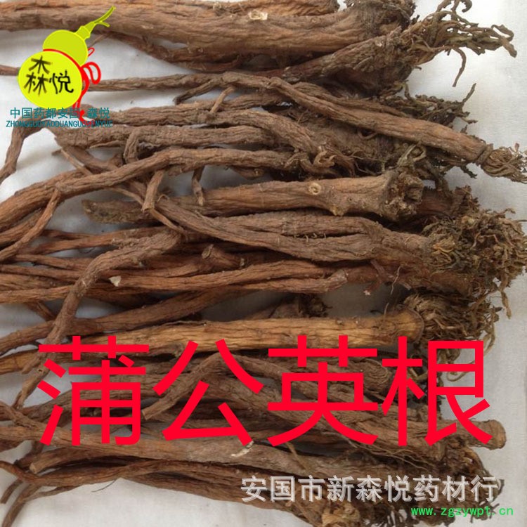 QQ图片20160116090706副本1