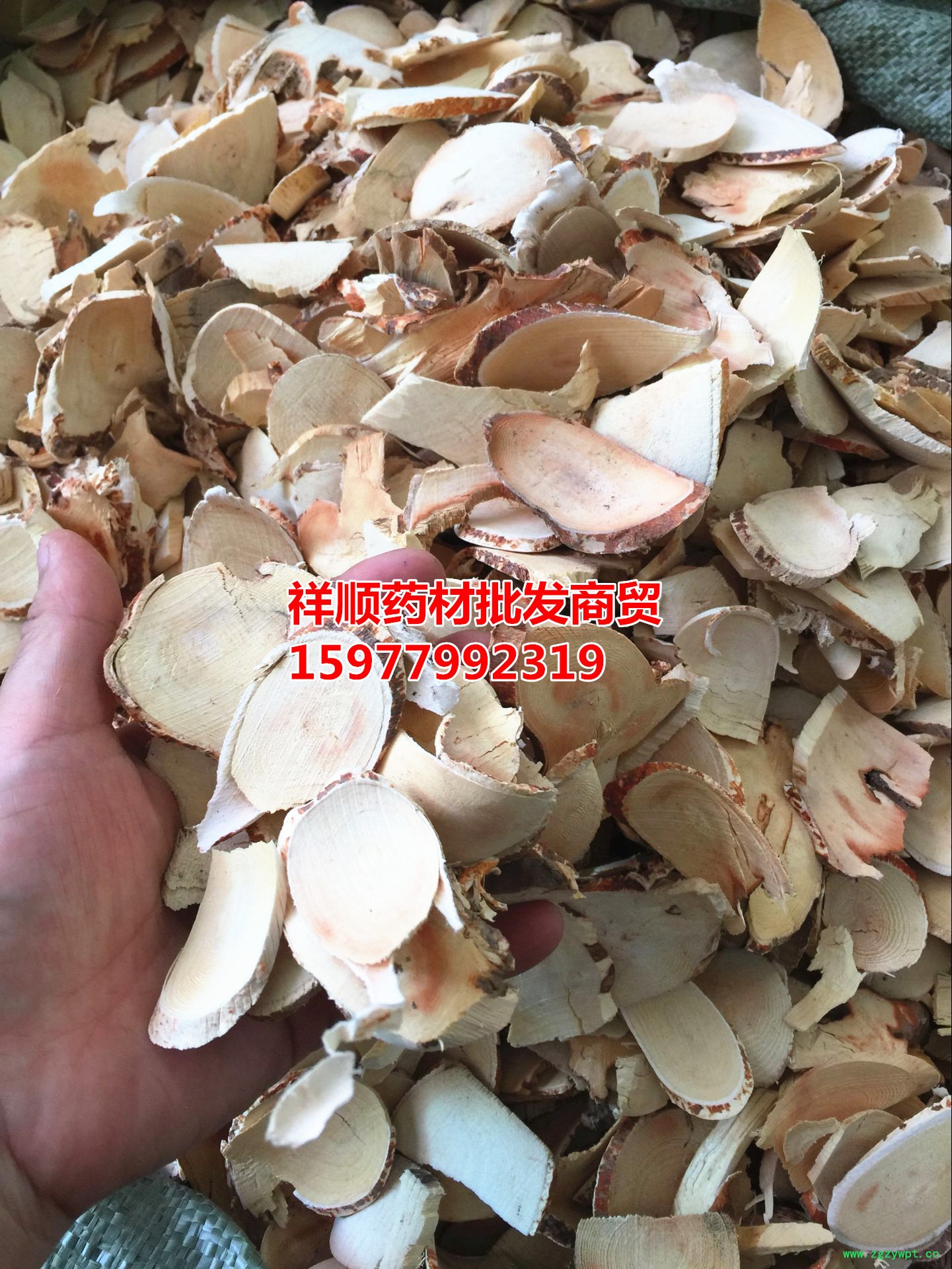 QQ图片20160623123719_副本