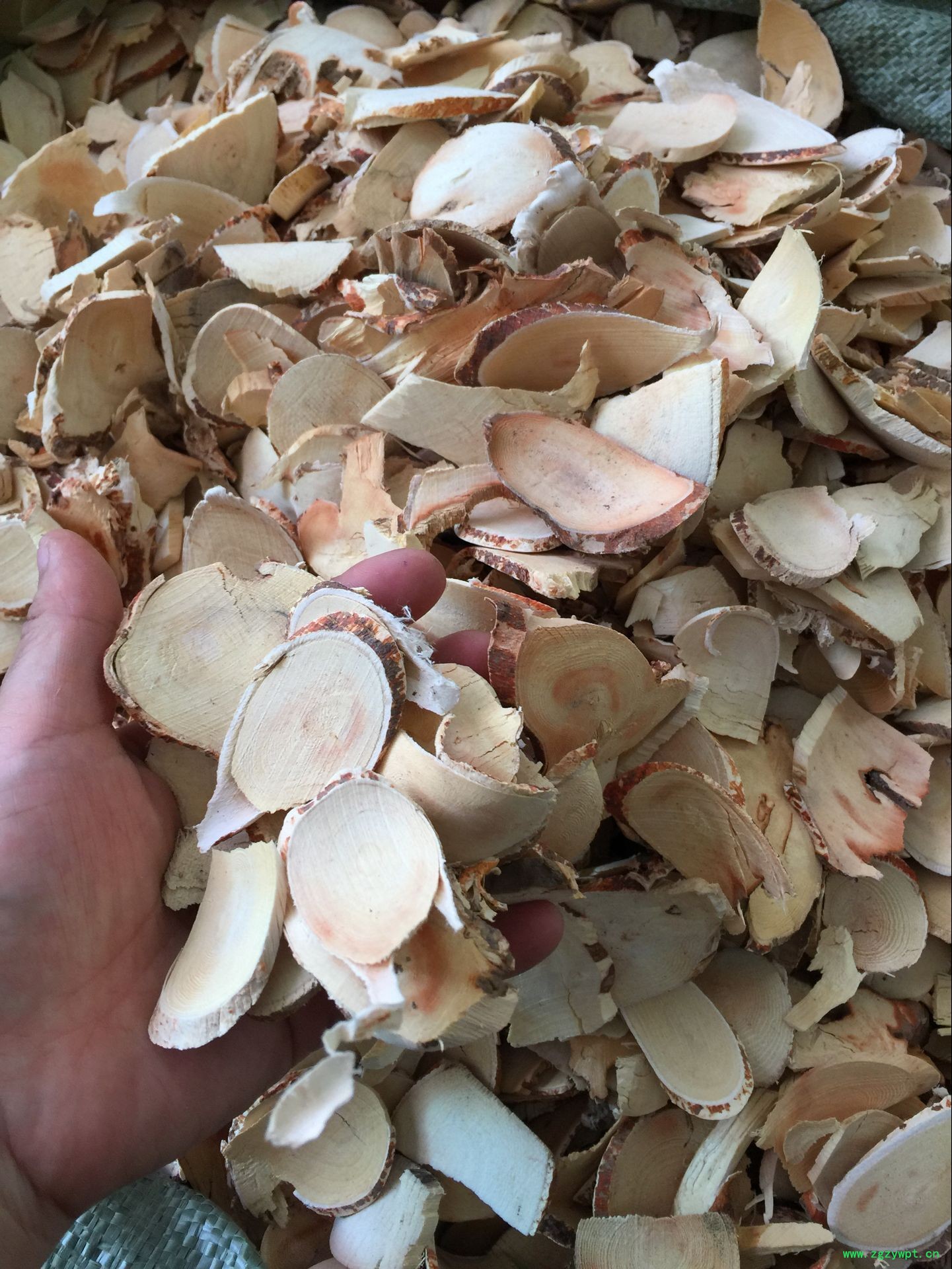 QQ图片20160623123719