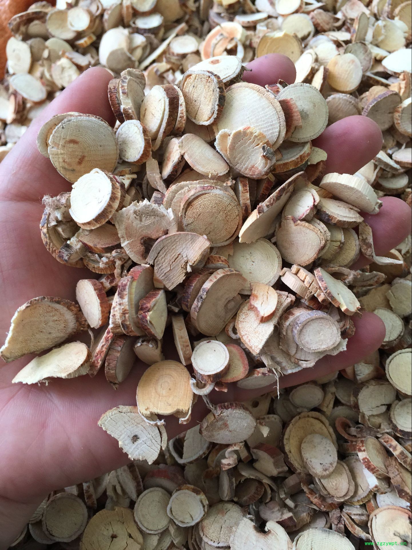 QQ图片20160623123717