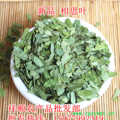 大量批发 鸡骨草叶 相思叶 批发各种规格 相思藤