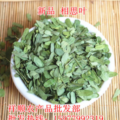 大量批发 鸡骨草叶 相思叶 批发各种规格 相思藤