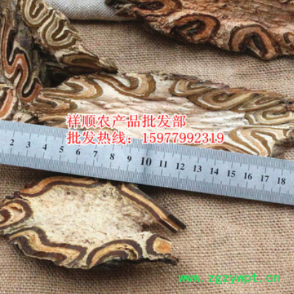 批发 飞天蠄蟧 大贯众 龙骨风 大量供应新货