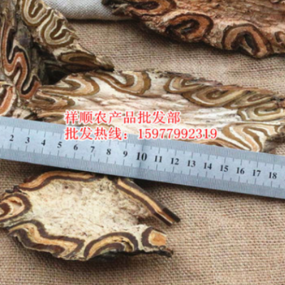 批发 飞天蠄蟧 大贯众 龙骨风 大量供应新货