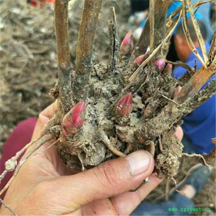 QQ图片20181020133852