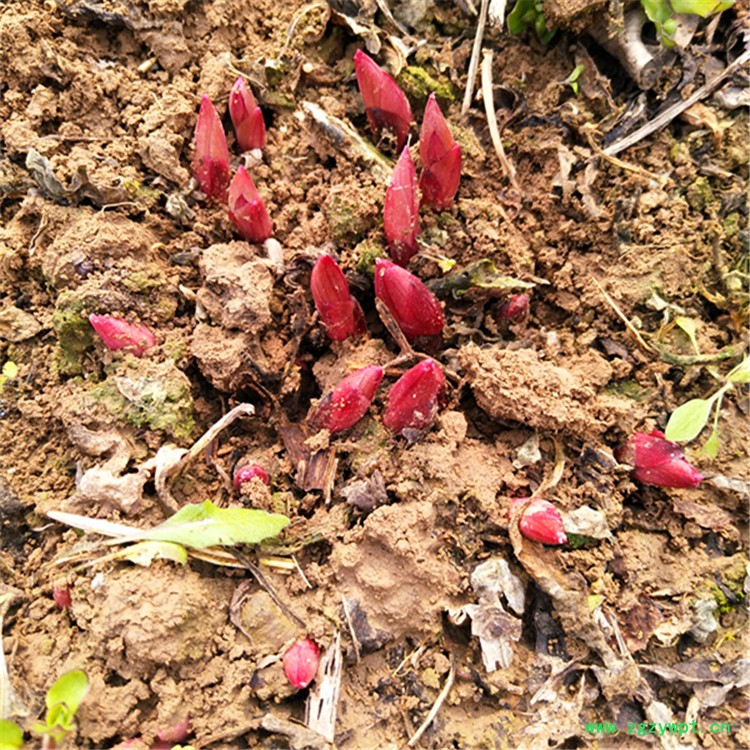 QQ图片20181020110924