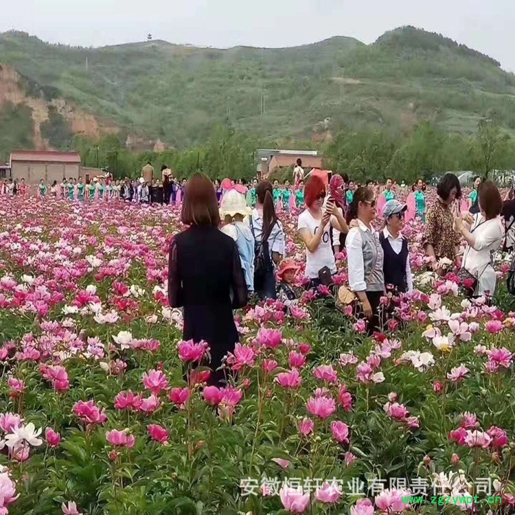 微信图片_20191223201150