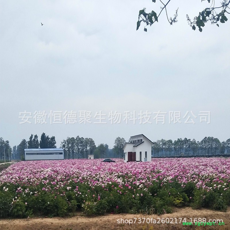 QQ图片20200222122255