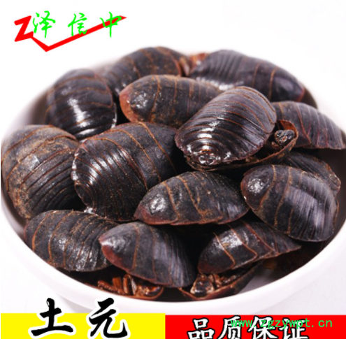 土元 中药材批发 现货批发 土鳖 清水土元 量大从优