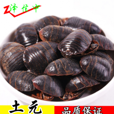 土元 中药材批发 现货批发 土鳖 清水土元 量大从优