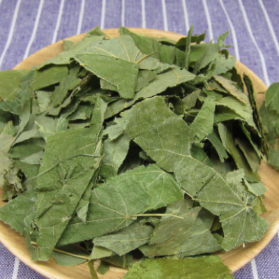 东北源产地货源淫羊藿现货批发 农副产品洋火叶批发