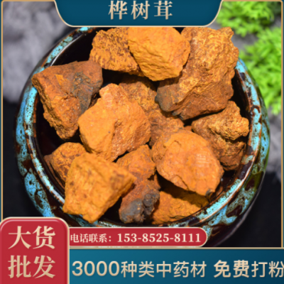 一手货源桦树茸白桦茸颗粒批发食用菌类桦树黄灵芝桦树泪量大价优