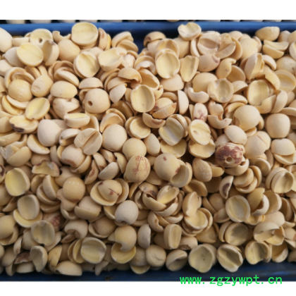 新莲村厂家供应湖南湘潭寸三莲 磨皮白碎片莲 莲子干 湘莲