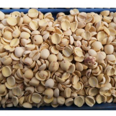 新莲村厂家供应湖南湘潭寸三莲 磨皮白碎片莲 莲子干 湘莲