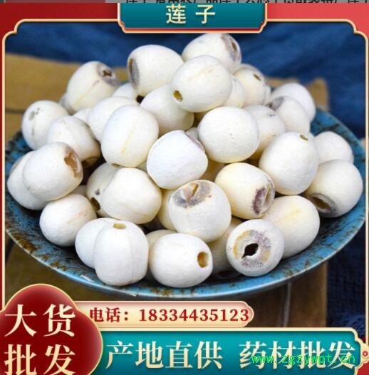 莲子 食用农产品莲子去芯干货散装特产莲子干货 批发量大从优代发