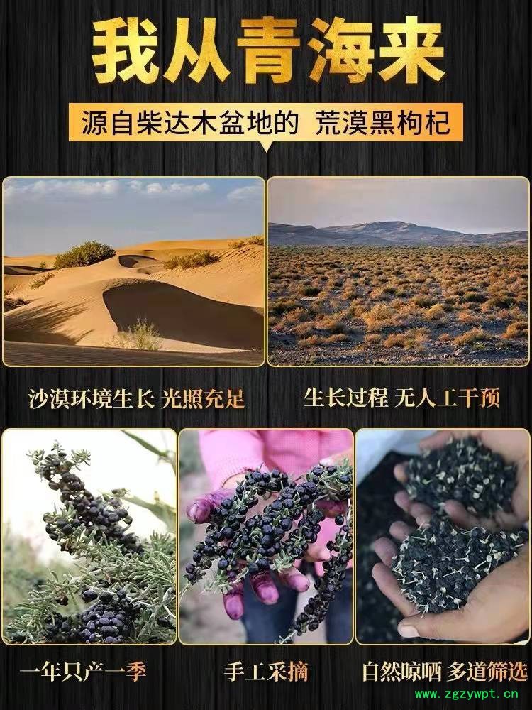 微信图片_20211215174559.jpg