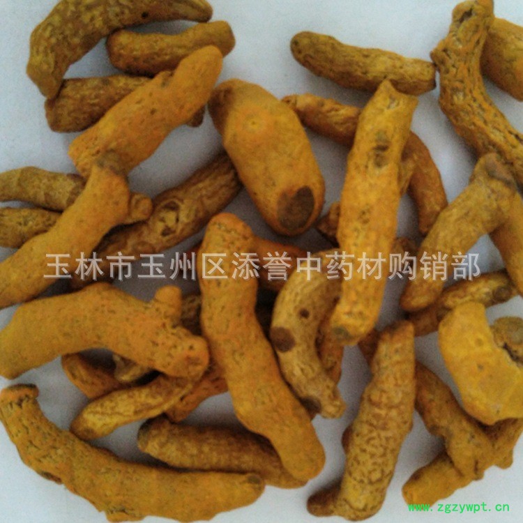 姜黄个（广西）.jpg0