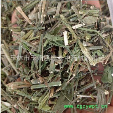 广西中药材 穿心莲 别名一见喜 榄核莲 苦胆草 苦草切段 市场直供