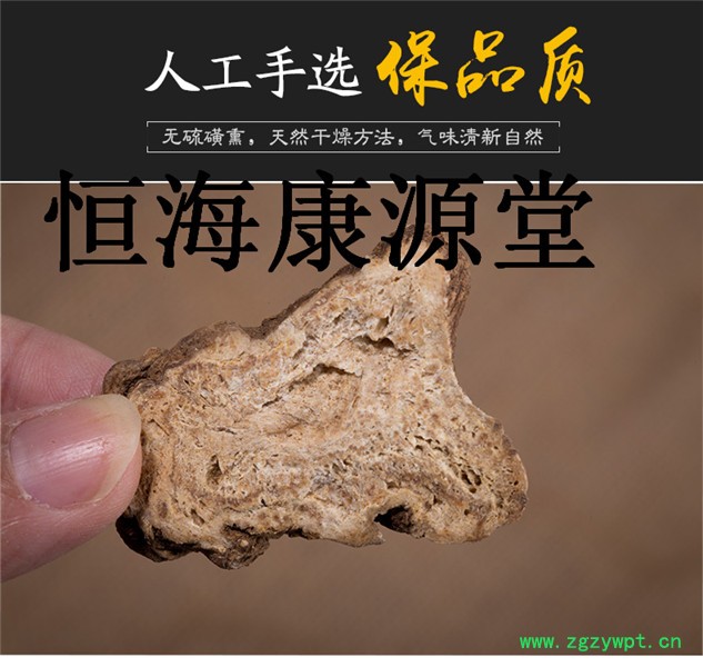 白术.jpg