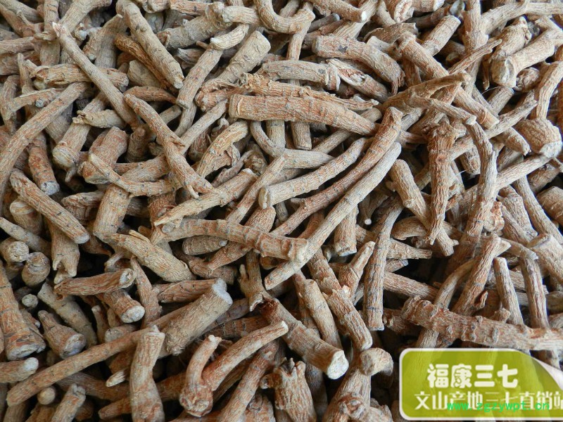 大根5.jpg
