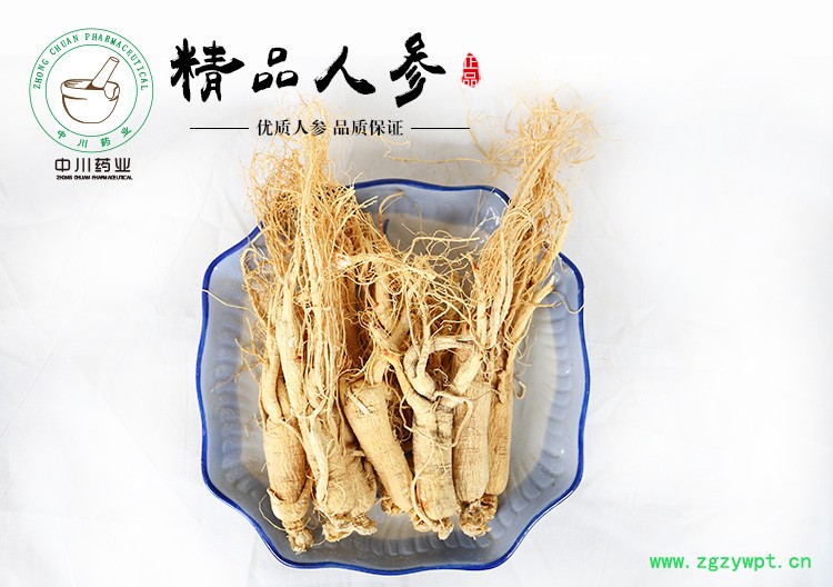 人参_01.jpg