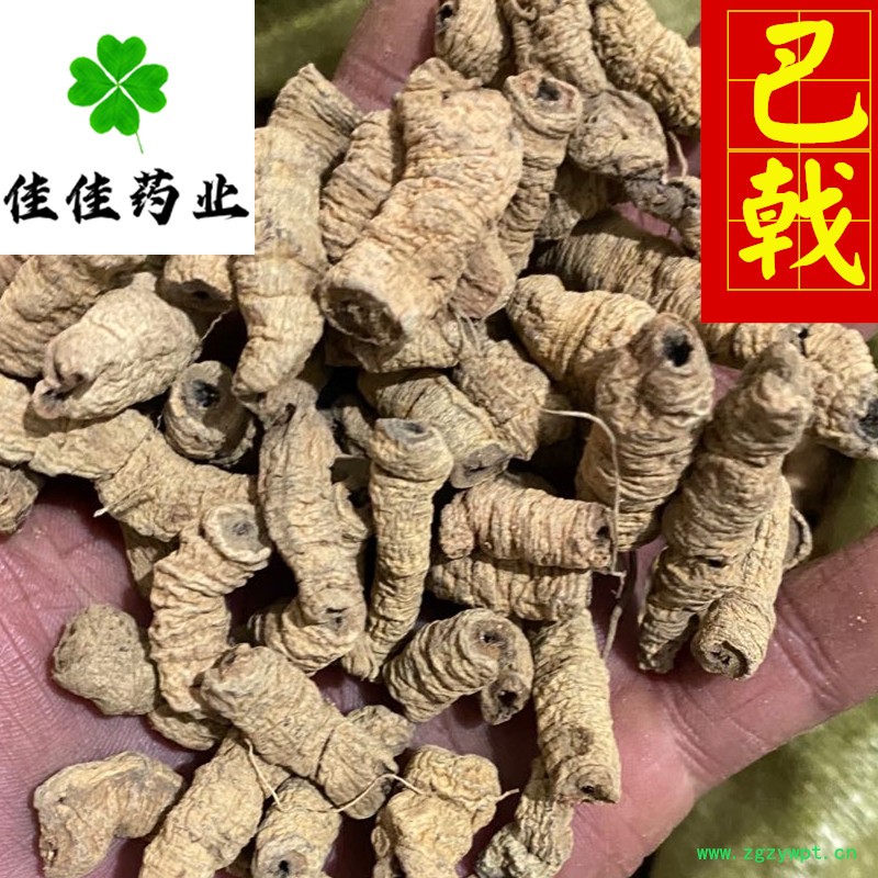 01e5c18b55bee1d3b4bbe091afc92e4_副本.jpg