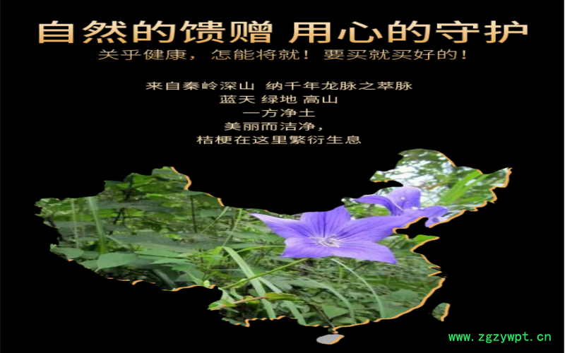 QQ截图20190823090900.png