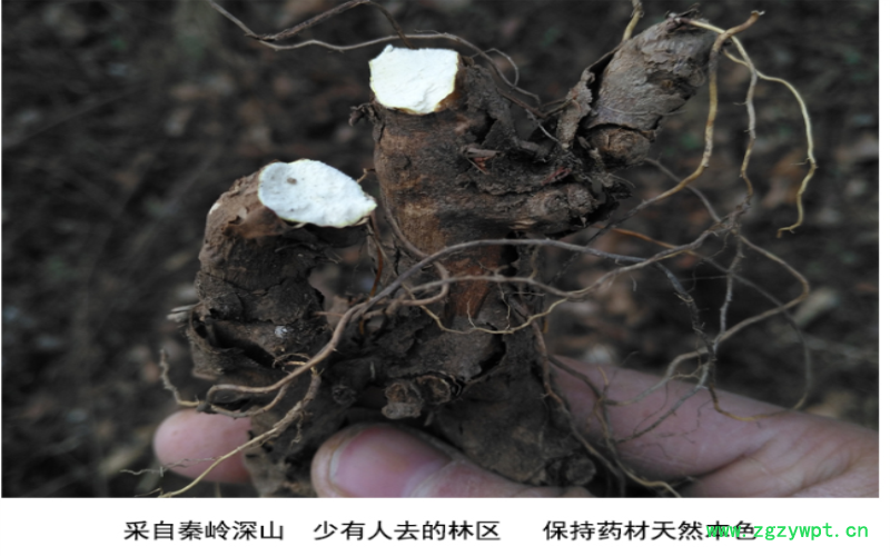 QQ截图20190916105513.png