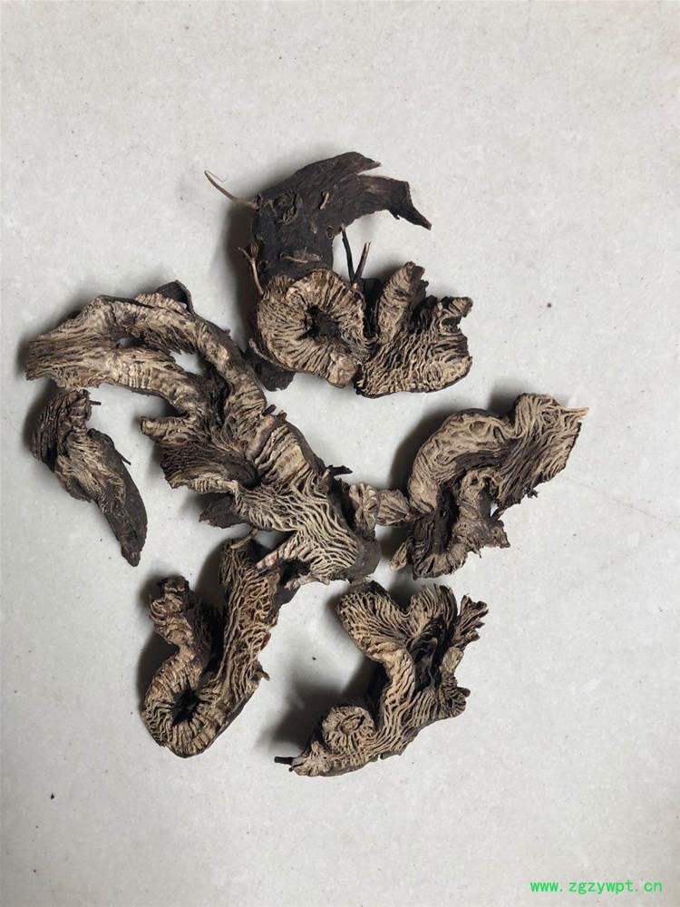 生麻 (2).jpg