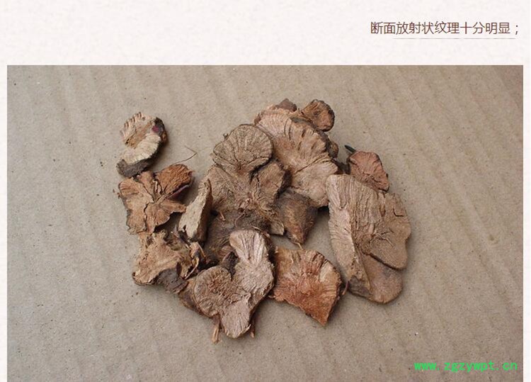 金荞麦4.jpg