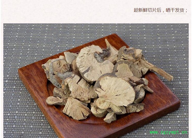 金荞麦5.jpg