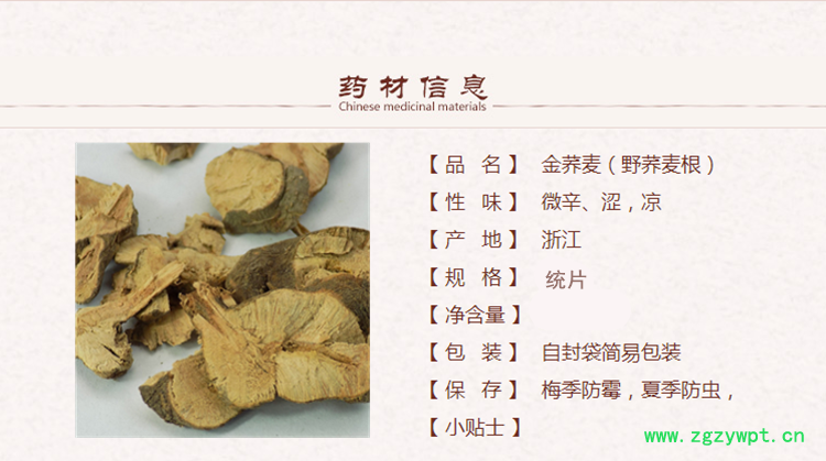 金荞麦1_副本.png