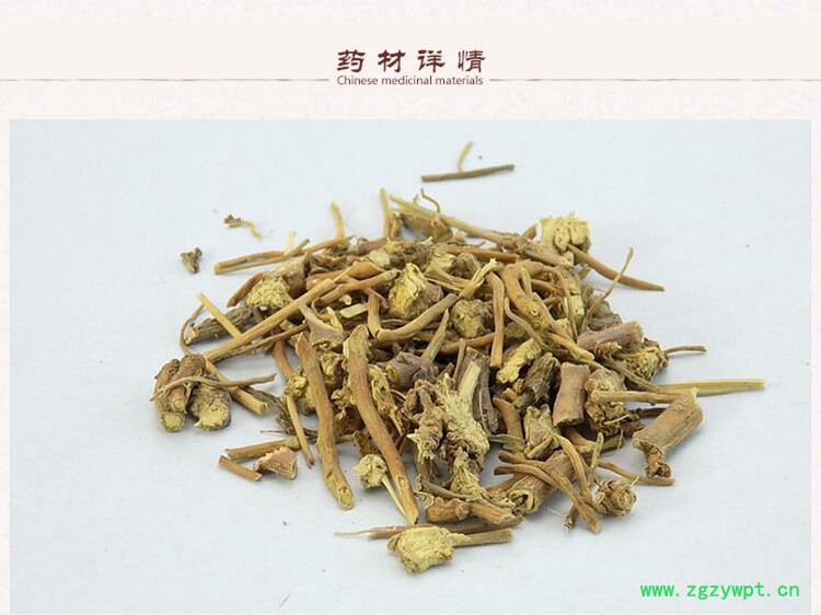 白薇2.jpg