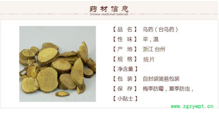 乌药1_副本.jpg