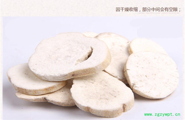 天花粉4.jpg