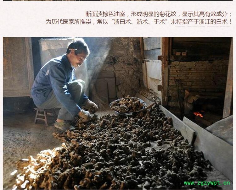 白术2.jpg