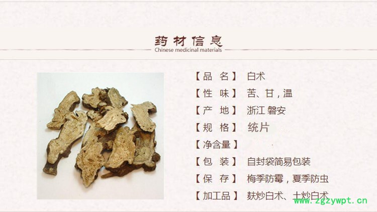 白术1_副本.jpg