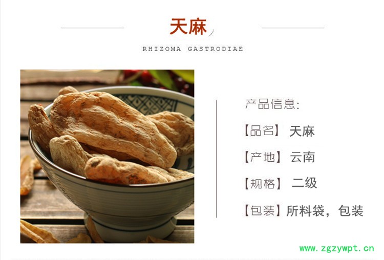 天麻.jpg