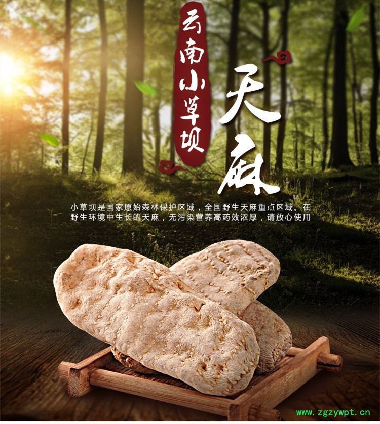天麻1_.jpg