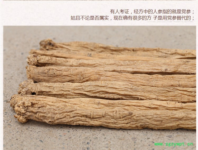 党参中条3.jpg